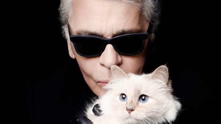 Conoce a Choupette, la gata que heredará la fortuna de Karl Lagerfeld