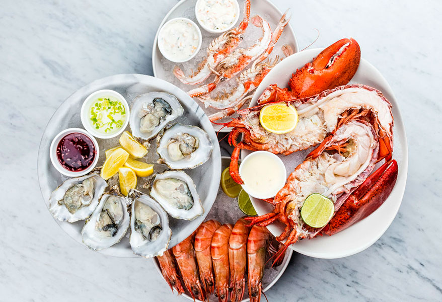 Frutos del mar, una buena opción para deleitarse y comer sano