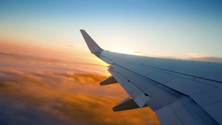 5 libros que te harán querer agarrar el primer avión que veas (más uno para niños)