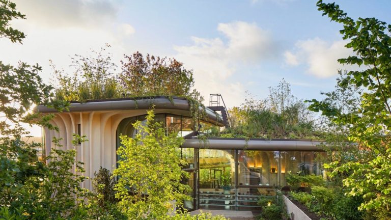 ¡Es todo un sueño! El Maggie’s Leed Center, un paraíso arquitectónico usado para sanar