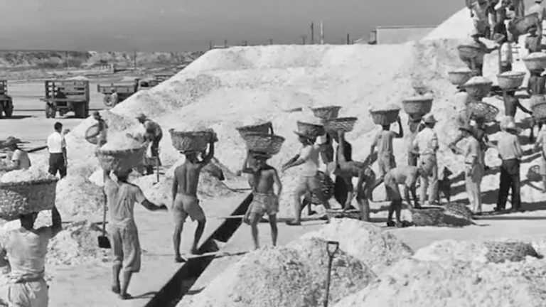 “Araya era como ir a la luna”, la historia del film más icónico de Margot Benacerraf