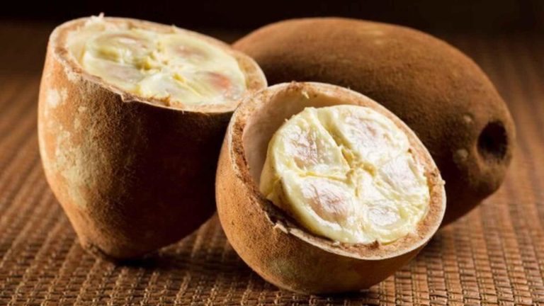 ¿Qué es el copoazú? El “cacao blanco” de Amazonas que parece ser milagroso