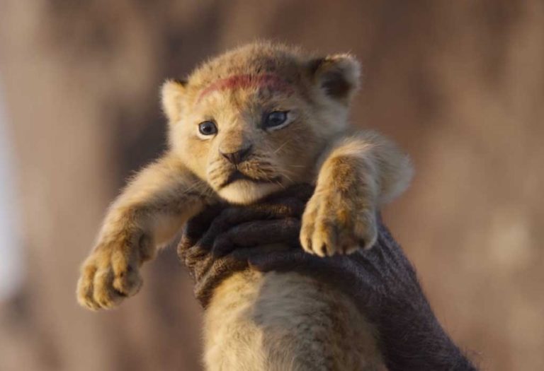 ¡Es oficial! Habrá una secuela de ‘El Rey León’ y estos son los detalles que debes conocer