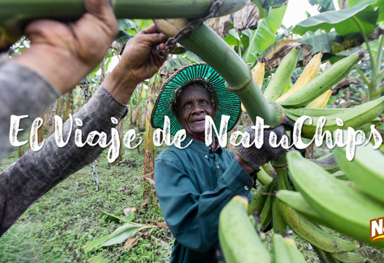 Del campo a tu hogar: El viaje de NatuChips que exalta el sabor y el sentir de nuestras tierras