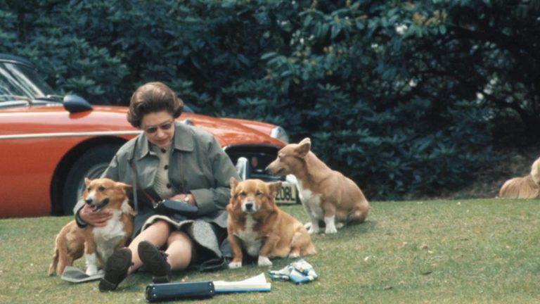 ¡Amante de los corgies! Los 80 años de historia de los perros de la reina Isabel II