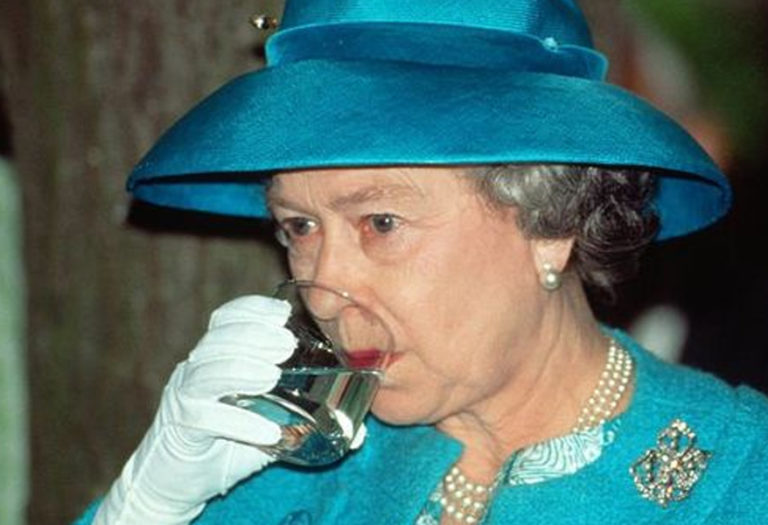 ¿Brindamos? Isabel II saca su propia ginebra navideña con ingredientes de su propio jardín