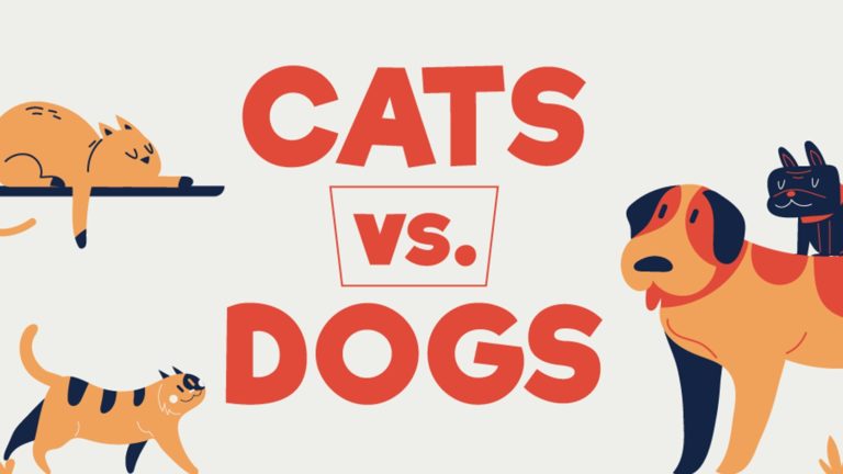 ¿Qué prefiere el mundo, perros o gatos? Este mapa mundial te muestra cuál es el favorito de cada país