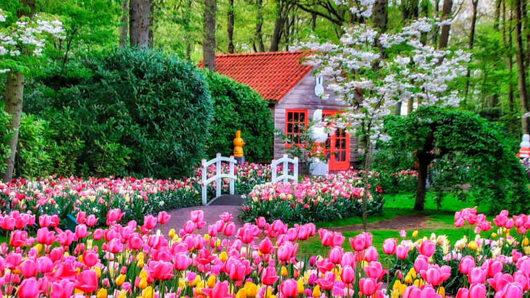 Recibe el manto floral del Equinoccio de la Primavera a través de los 7 lugares más ¡Coloridos del mundo!