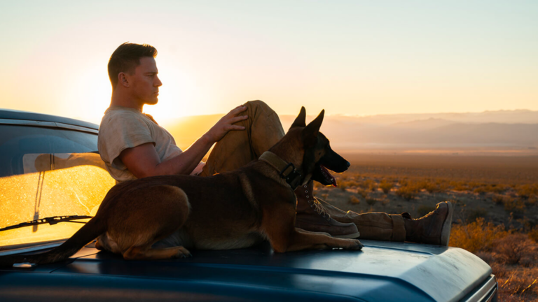 ‘Dog: Un Viaje Salvaje’: La comedia de Channing Tatum llega a Venezuela