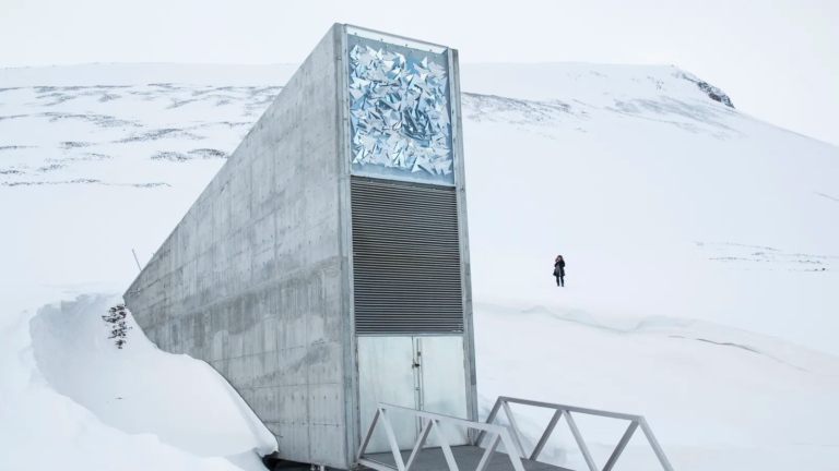 La bóveda del fin del mundo: la historia detrás del Banco Mundial de Semillas de Svalbard