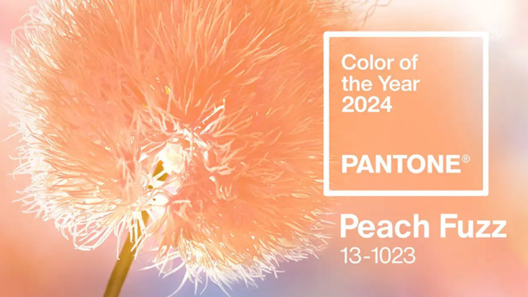 ¡Pantone 2024! Peach Fuzz estimula la mente, el cuerpo y el espíritu