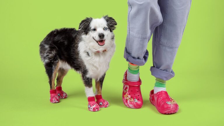 Crocs para tus perros