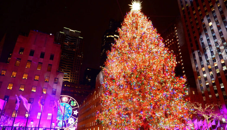 ¿Cómo decorarás el tuyo? Los 5 árboles de Navidad MÁS BELLOS del mundo