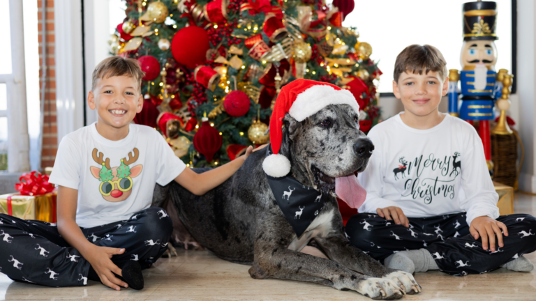 ¡Pijamas navideños! Creatividad y comodidad para dormir divino en estas fiestas