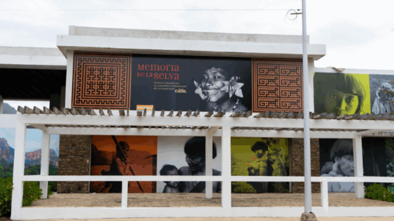 «Memoria de la selva» trae una riqueza cultural y artística a Margarita