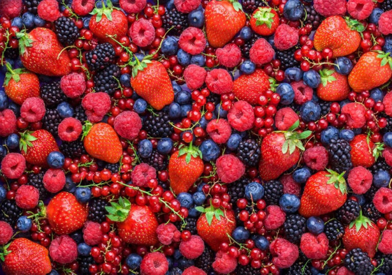 Berries: Antioxidantes en miniatura