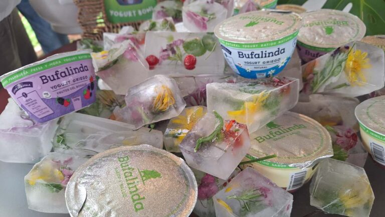 Bufalinda presenta nuevo yogurt sin azúcar y con proteína