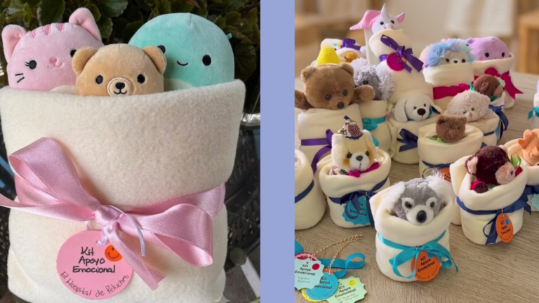 El Hospital de Peluches brinda ternura que cura en tiempos difíciles